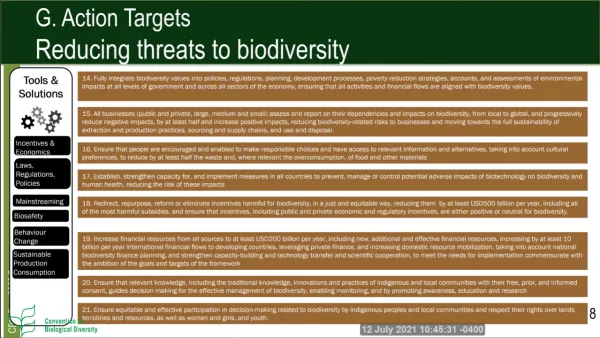 Screenshot_2021-07-12_at_16-46-07_Press_Conference_for_the_Release_of_the_First_Draft_of_the_post_2020_Global_Biodiversity__..._